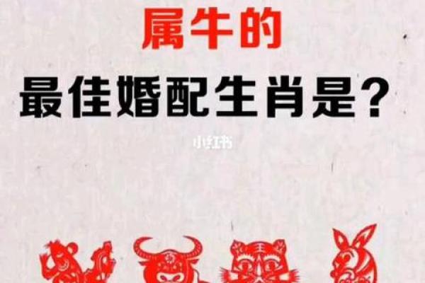 观者如山是什么生肖(观者如山是什么生肖4)
