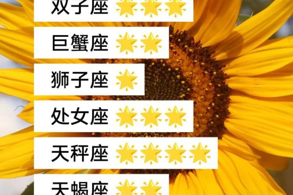 每日星座查询运势 每日星座查询运势今日运势解析与好运指南