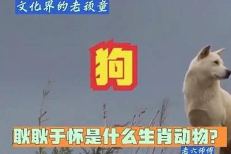 嫌肥挑瘦是什么生肖(嫌肥挑瘦是什么生肖)