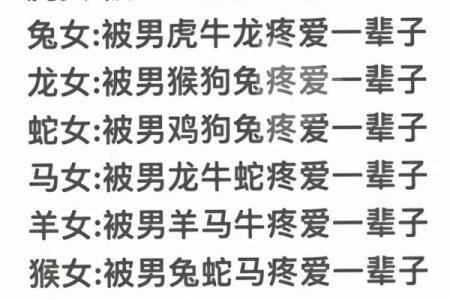 男盗女娼指什么生肖(男盗女娼是代表什么生肖)