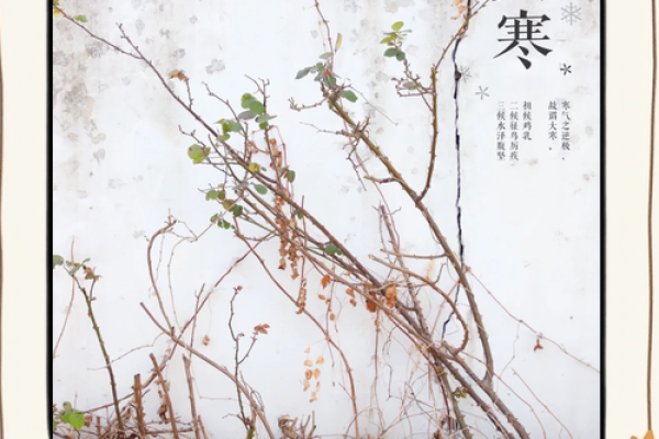 大寒动土