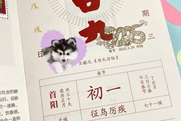 2025年适合新居乔迁日历(2025年适合新居乔迁日历吗)