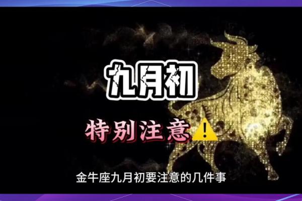 金牛座明日运势解析财运与感情双丰收