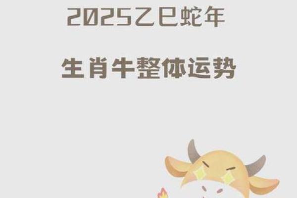 2025年3月26日金牛座今日运势大全