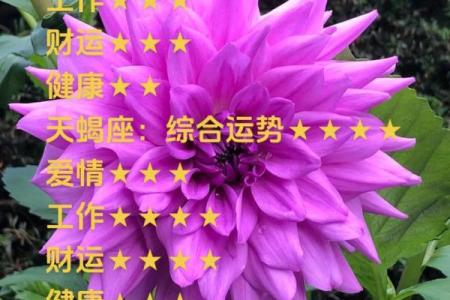 2025年3月26日今日天秤座运势