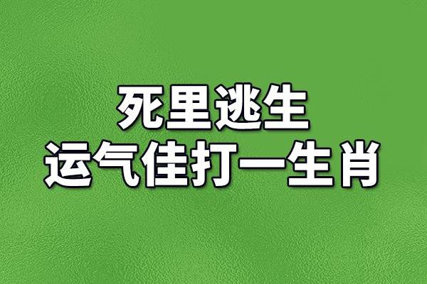 任人摆布打一准确生肖是什么(任人摆布是哪种人)
