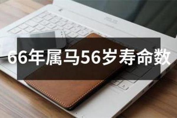 1966年属马的交运时间_1966年属马人的运程