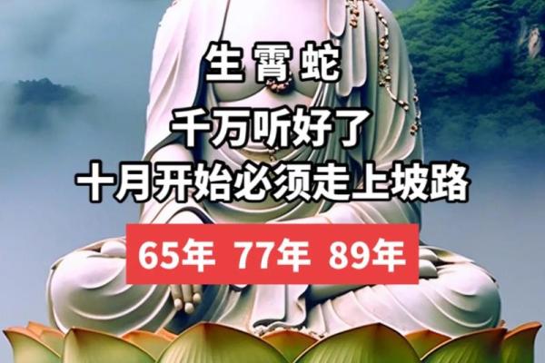 53年属蛇72岁有一灾 1953年蛇最后一劫