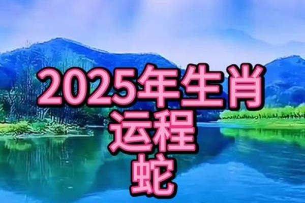 属龙的蛇年运势怎么样_属龙人在蛇年