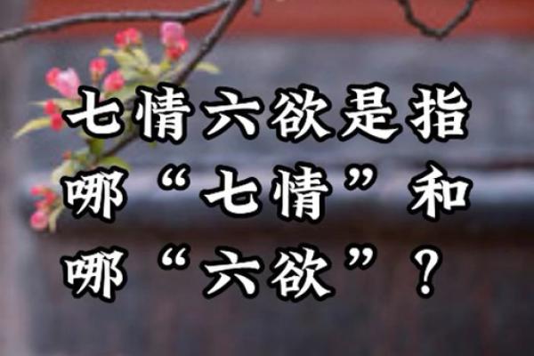 七情六欲打正确生肖(七情六欲猜生肖)
