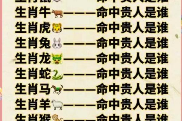 02属马2025运势及运程详解_属马遇蛇年2025运势怎么样呢