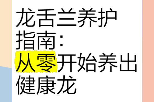 1952年属龙者2023全年健康运程解析与养护指南