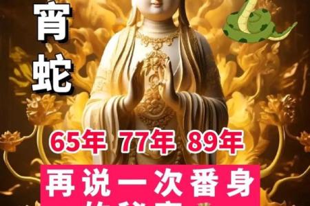 77年蛇2025年运势及运程_2013蛇2025年运势