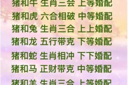 属兔的今年结婚吉日