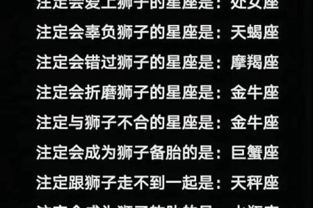 塔罗狮子座感情运势12月 12月塔罗揭秘狮子座感情运势大解析