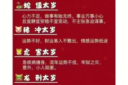 2025年属龙人全年运势详解逐月运程与吉凶指引