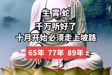 53年属蛇72岁有一灾 1953年蛇最后一劫
