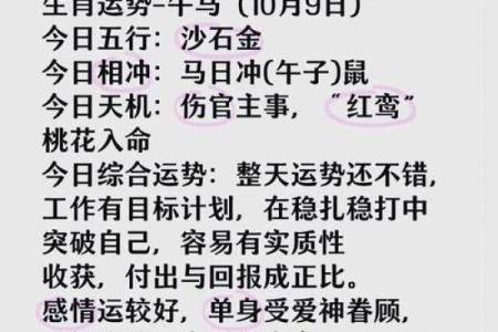 2025年属马人的运势好吗_属马2025年运势如何