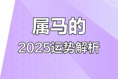 属马2025财运方向_2025年属马人