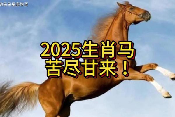 1978属马人在2025年的运势怎么样 1978年属马未来5年运势