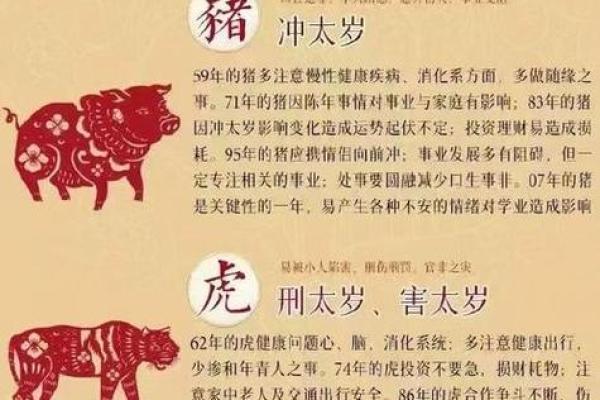 属龙2025多少岁_2025年属龙人年龄对照表农历乙巳年112月出生岁数详解