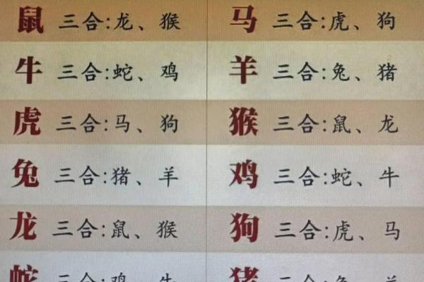 2000年龙女婚配指南最佳生肖配对解析