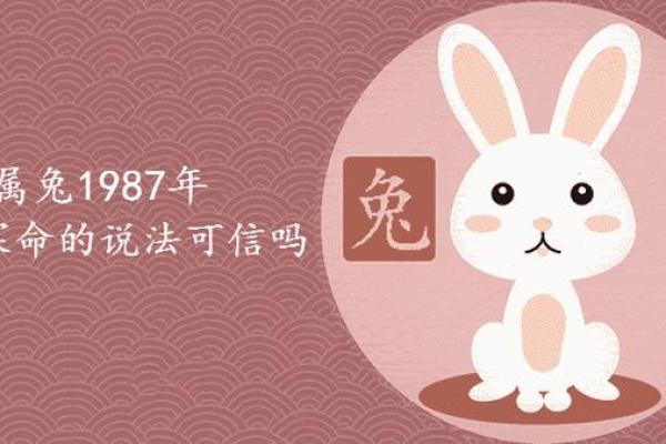 1987年属兔装修吉日