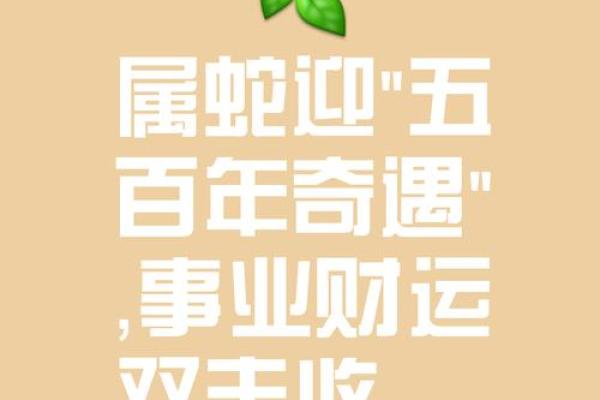 2025年属蛇人必知全年最忌颜色与运势破解指南