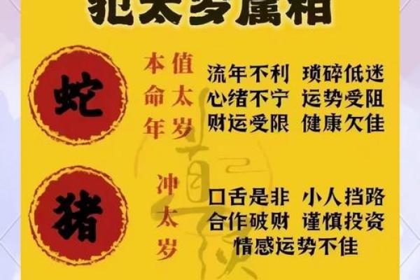 属龙的人2025年佩戴什么最好 2025年属龙人全年运势佩戴这些最旺运
