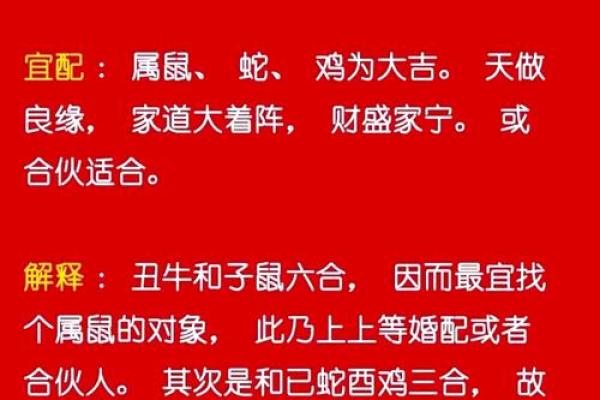 1976年属龙最佳婚配 1976年的龙最佳配偶