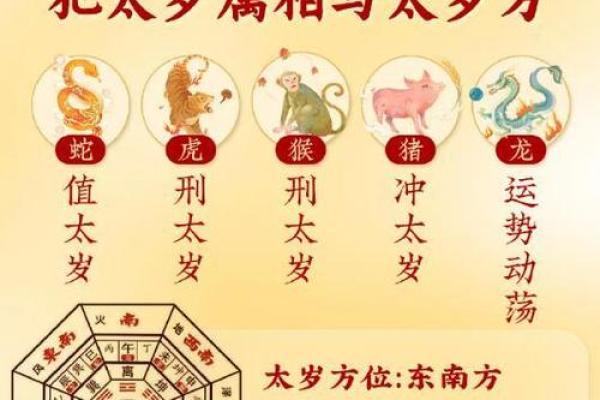 五体投地指什么生肖(五体投地指什么生肖最合适)