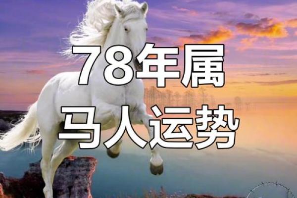 1966年属马人的运势_1966年属马人2023年运势解析财运事业健康全指南