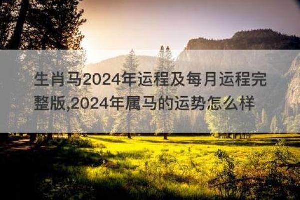属马人逐年运势_属马人2021年运程大全及破解