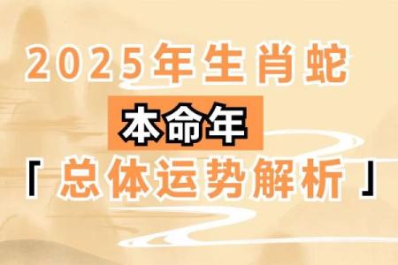 1990年属蛇2025年运势如何_1990的属蛇的2021年的吉凶