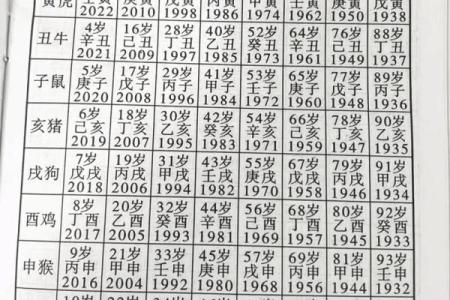 2025年属龙的多大_2025年属龙人年龄解析出生月份与岁数对照表
