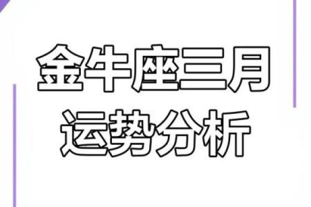 金牛座近期运势解析财运爱情与事业全揭秘