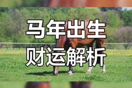 属马的在2025年运势_属马的在2025年运势怎么样