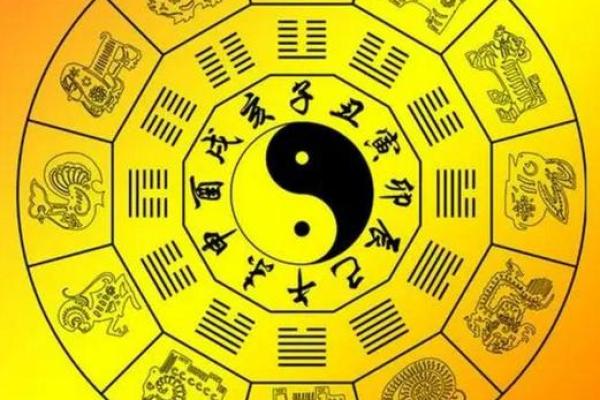 天网恢恢是什么生肖(天网恢恢是什么生肖一)