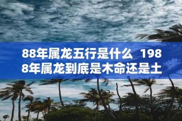 1988年生肖龙今日运势 1988年属龙今日运势怎么样