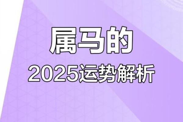 2002年属马男2025运势全解析财运事业健康详解