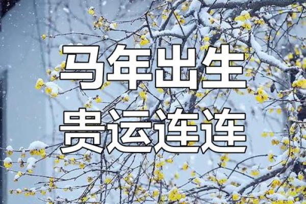 1978年属马人2025年运势解析全年运程大揭秘