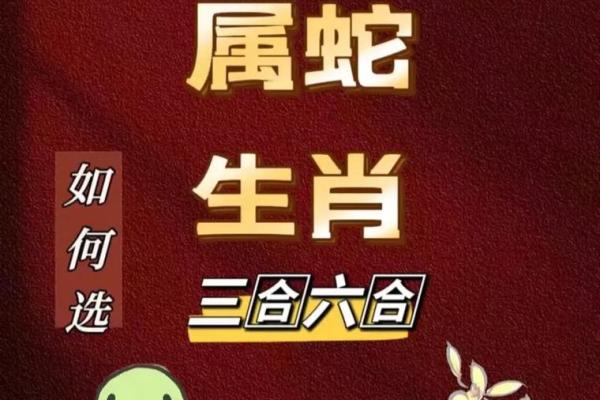 2025年蛇是什么命 2013蛇2025年运势