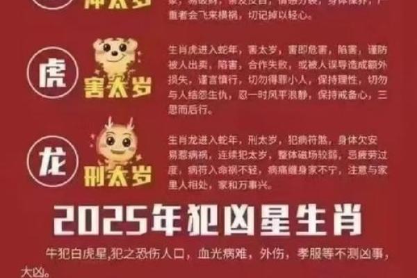 属龙今年多大年纪2025年_2025年属龙人年龄全解析各月出生年份与岁数对照