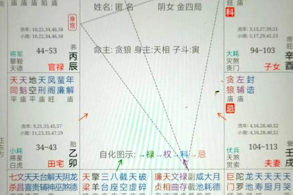 财帛宫生年禄 财帛宫生年禄转忌疾厄宫