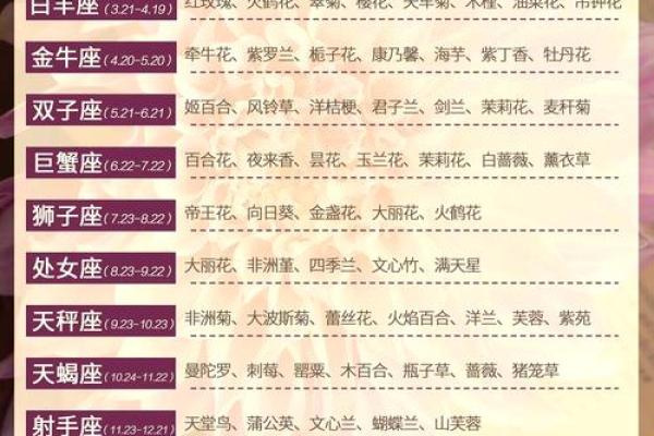 处女座今日运势详解事业爱情财运全解析