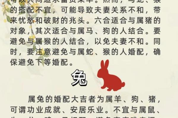 2002年属马的婚配 2002年属马婚配指南最佳配偶属相解析