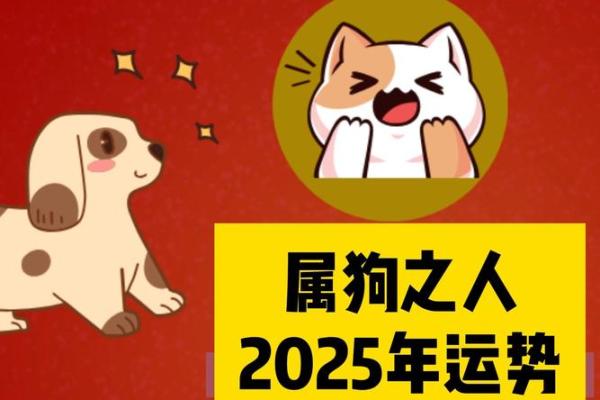 1982属狗2025年运势_1982属狗2025年运势详解事业财运健康全解析