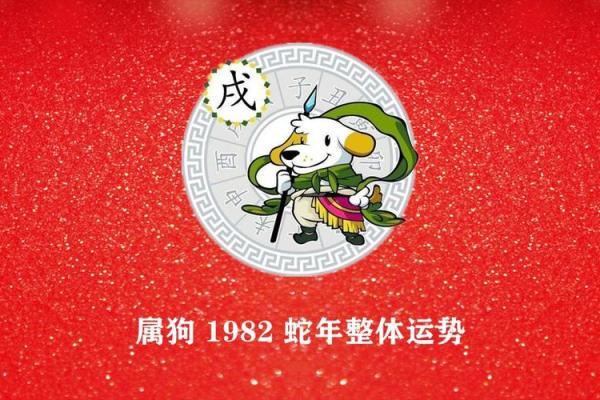 1982属狗2025年运势_1982属狗2025年运势详解事业财运健康全解析