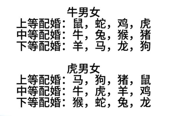 1994年属狗的最佳配偶_2006年属狗女的最佳婚配属相