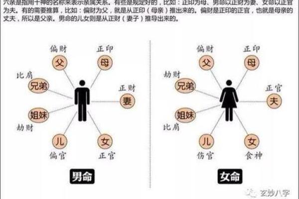 夫妻宫解析揭秘婚姻运势与命理奥秘_1737300499